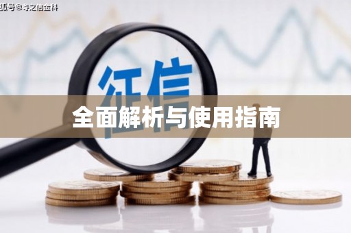 巧家全面解析与使用指南