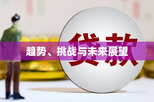 巧家趋势、挑战与未来展望