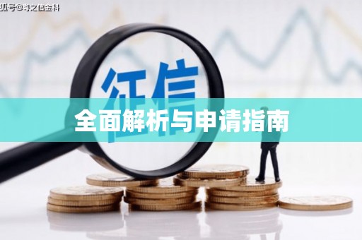 巧家全面解析与申请指南