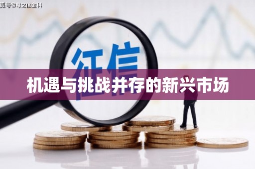 巧家机遇与挑战并存的新兴市场