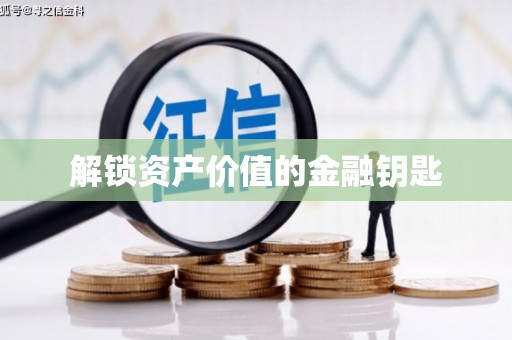巧家解锁资产价值的金融钥匙