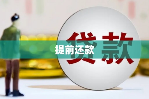 巧家提前还款