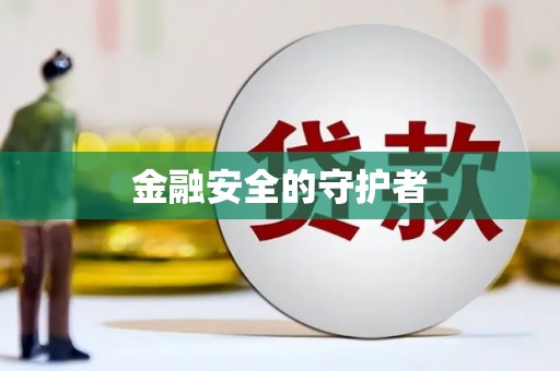 巧家金融安全的守护者