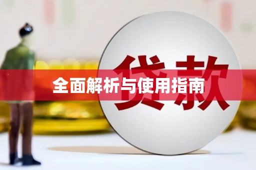 巧家全面解析与使用指南