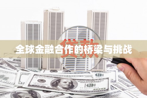 巧家全球金融合作的桥梁与挑战