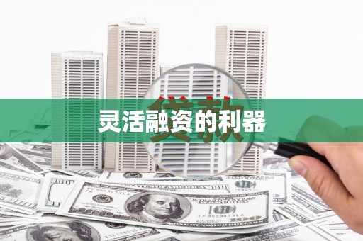 巧家灵活融资的利器