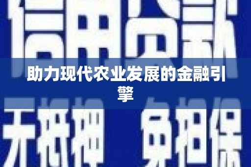 巧家助力现代农业发展的金融引擎