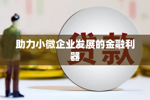 巧家助力小微企业发展的金融利器