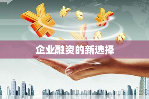 巧家企业融资的新选择