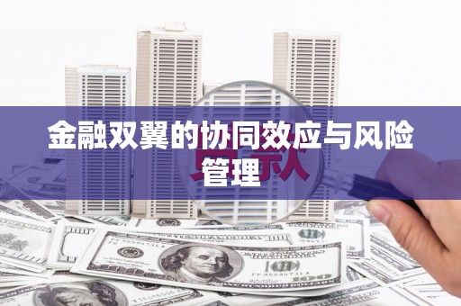 巧家金融双翼的协同效应与风险管理
