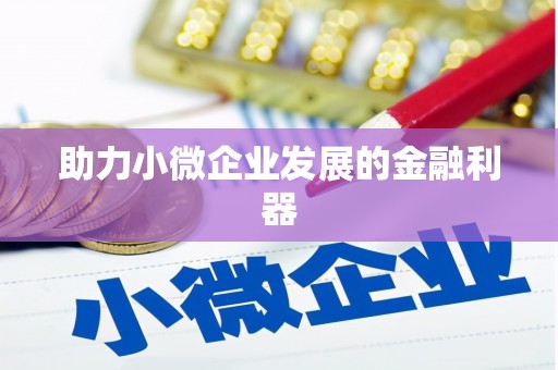 巧家助力小微企业发展的金融利器
