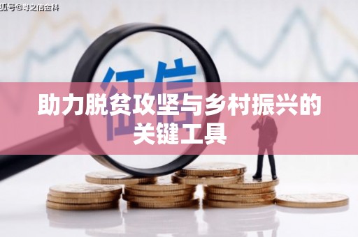 巧家助力脱贫攻坚与乡村振兴的关键工具
