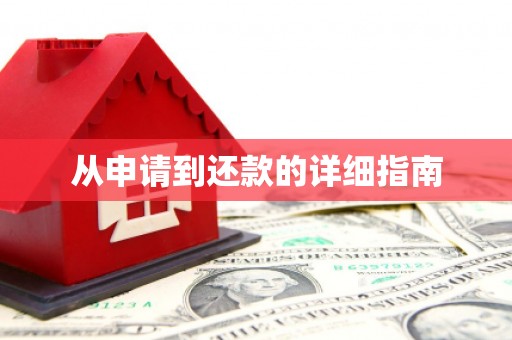 巧家从申请到还款的详细指南