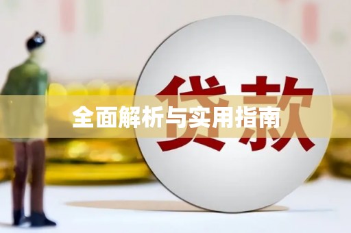 巧家全面解析与实用指南