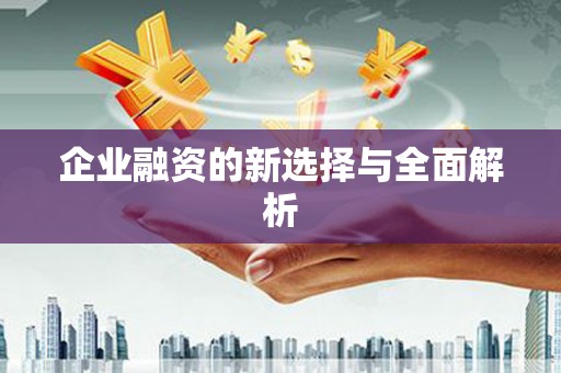 巧家企业融资的新选择与全面解析