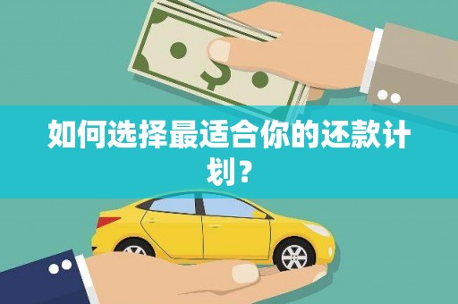 巧家如何选择最适合你的还款计划？
