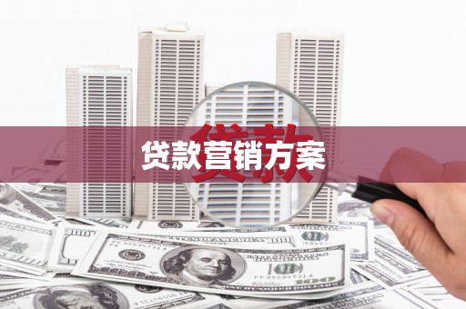 巧家贷款营销方案