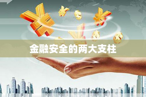 巧家金融安全的两大支柱