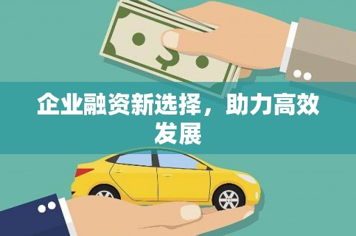 巧家企业融资新选择，助力高效发展
