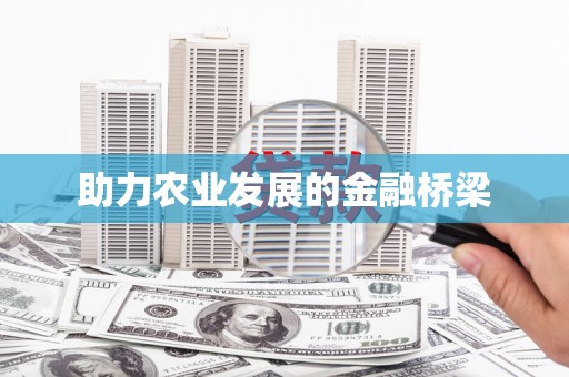 巧家助力农业发展的金融桥梁