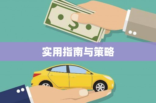 巧家实用指南与策略
