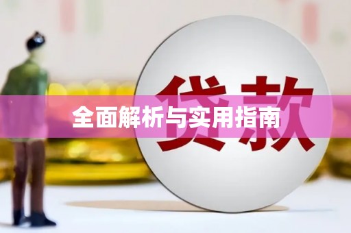 巧家全面解析与实用指南