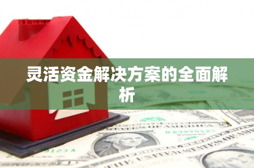 巧家灵活资金解决方案的全面解析