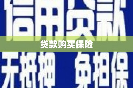 巧家贷款购买保险