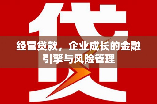 巧家经营贷款，企业成长的金融引擎与风险管理