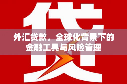 巧家外汇贷款，全球化背景下的金融工具与风险管理