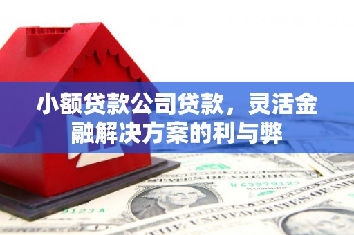 巧家小额贷款公司贷款，灵活金融解决方案的利与弊