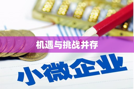 巧家机遇与挑战并存