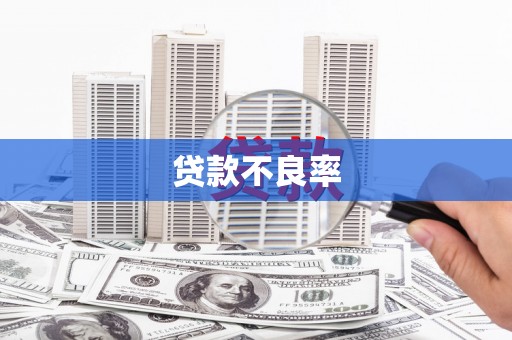 巧家贷款不良率