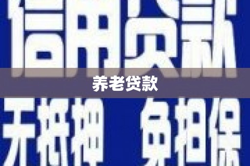 巧家养老贷款