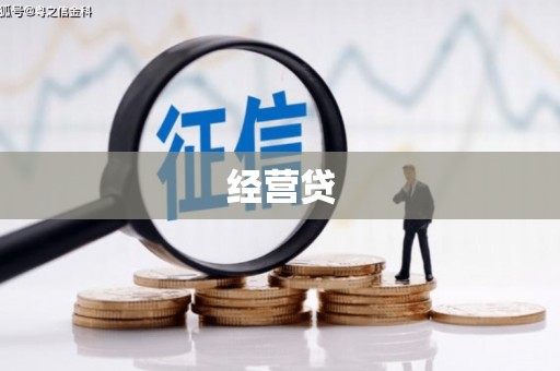 巧家经营贷