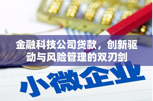 巧家金融科技公司贷款，创新驱动与风险管理的双刃剑