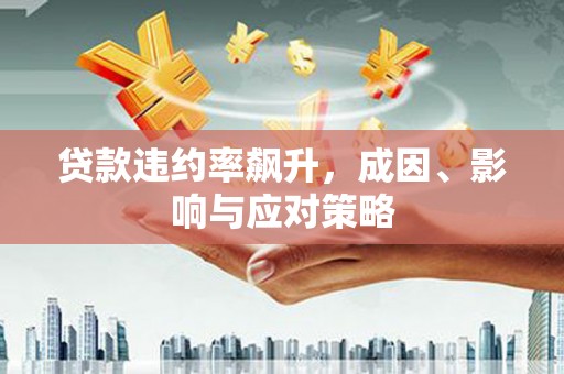 巧家贷款违约率飙升，成因、影响与应对策略