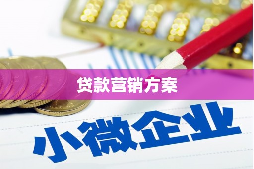 巧家贷款营销方案
